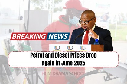 Petrol and Diesel Prices