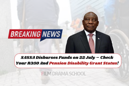 Pension Disability Grant Status