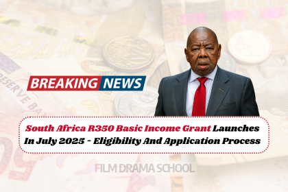 South Africa R350 Basic Income Grant Launches