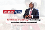 R560 Child Grant Delay
